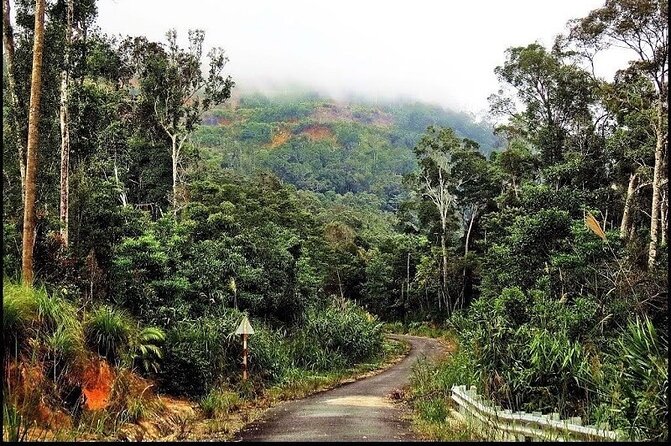 Ba Ho waterfalls ( Trekking + Swimming + Jumping +Amazing Nature) - Price and value: the $49 headline vs the real total