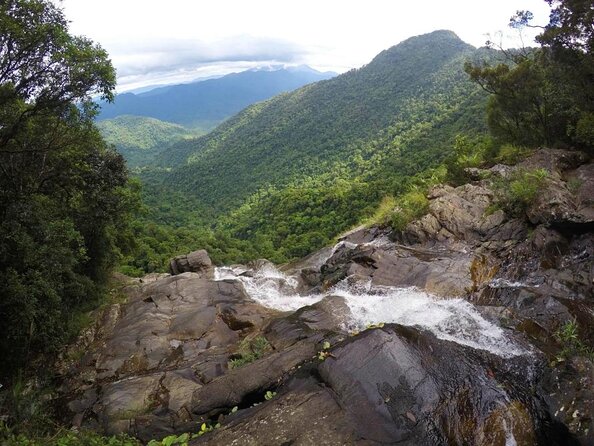 Bach Ma National Park trekking daily tour from Da Nang, Hoi An - Key highlights worth knowing before you go