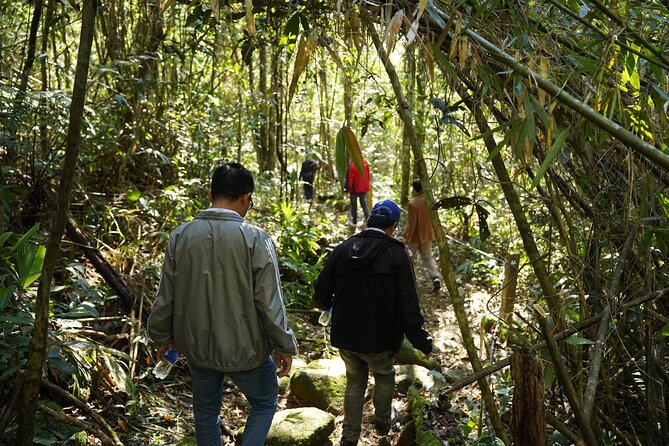 Bach Ma National Park trekking daily tour from Da Nang, Hoi An - Do Quyen Waterfall: the route that mixes effort and scenery