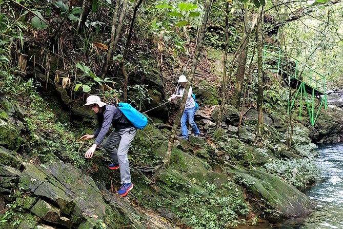 Bach Ma National Park trekking daily tour from Da Nang, Hoi An - The guide difference: Linh, Thuy, and Sang make the day