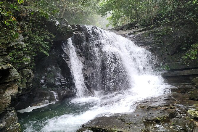 Bach Ma National Park trekking deluxe daily tour from Hue - Picnic Lunch in the Park: What You’ll Likely Get and Why It Works