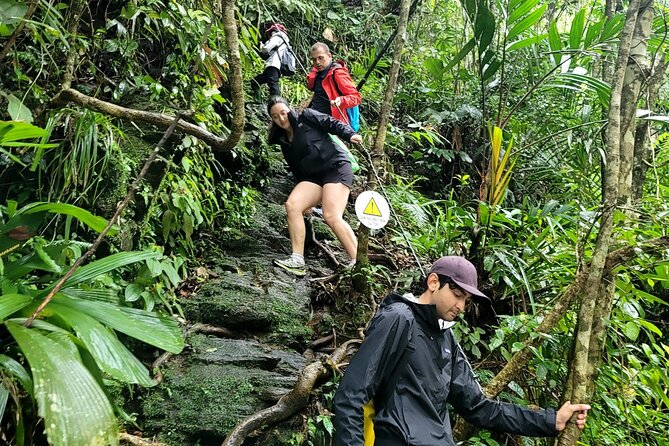 Bach Ma National Park trekking deluxe daily tour from Hue - Do Quyen Waterfall: The Optional Stairs Portion You Should Plan For