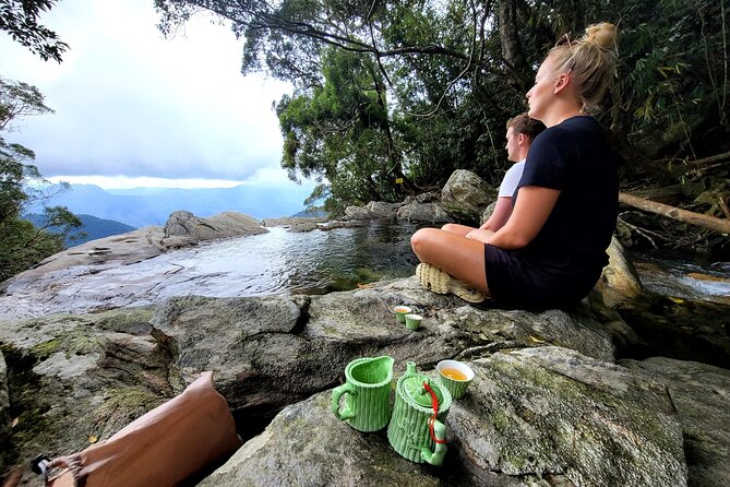 Bach Ma National Park trekking deluxe daily tour from Hue - Price and Value: What $49 Gets You (and What It Doesn’t)