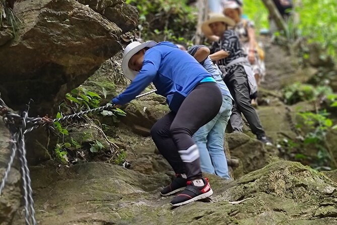 Bach Ma National Park trekking deluxe daily tour from Hue - Hai Vong Dai and the Bach Ma Peak Viewpoint Game Plan