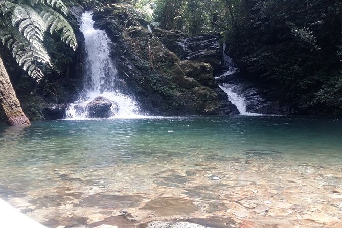 Bach Ma National Park Trekking Tour 1 Day From Hue city, Vietnam - The Trail Reality Check: Moderate Fitness, Uneven Steps, and Safety Mindset