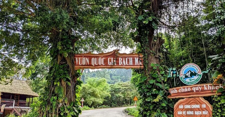 Bach Ma National Park Trekking Tour From Hue/Da Nang/Hoi An - Bach Ma National Park: Why this day trip feels worth it