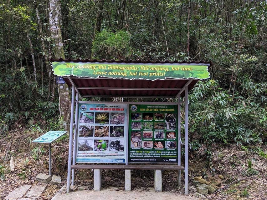 Bach Ma National Park Trekking Tour From Hue/Da Nang/Hoi An - Rain gear, helmets, and what that says about the trek