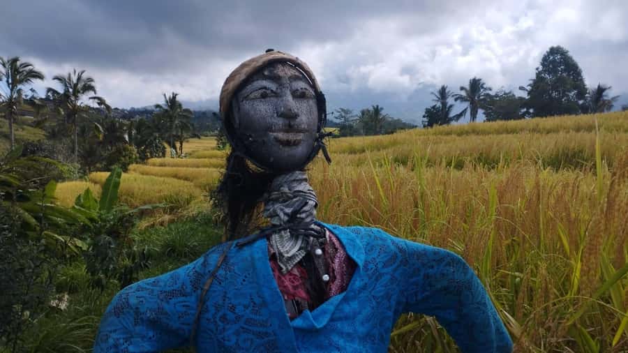 Bali: Jatiluwih Full-Day E-Bike and Trekking Tour - Jatiluwih’s rice terraces: why this UNESCO site feels special