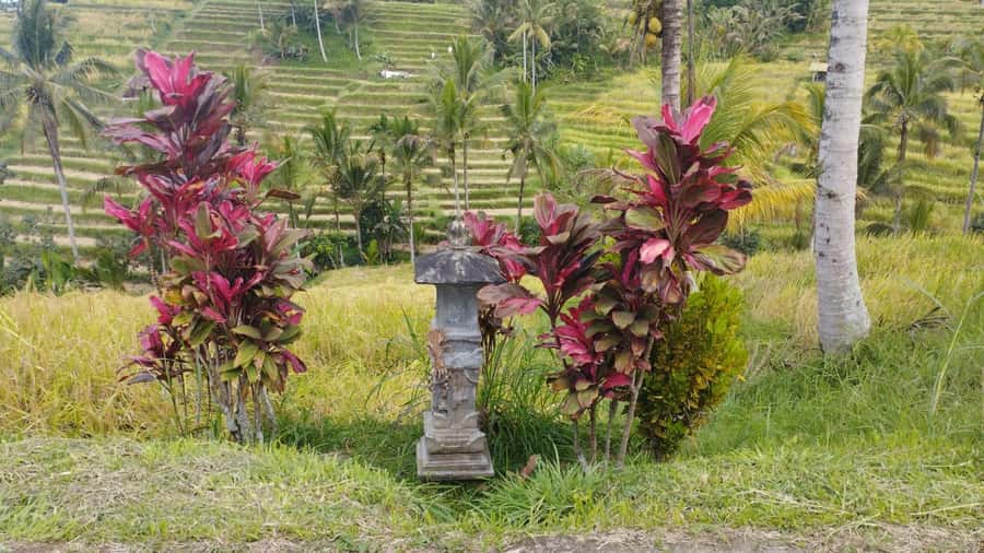 Bali: Jatiluwih Full-Day E-Bike and Trekking Tour - Jungle, bamboo, and village lanes: seeing Bali beyond the postcard