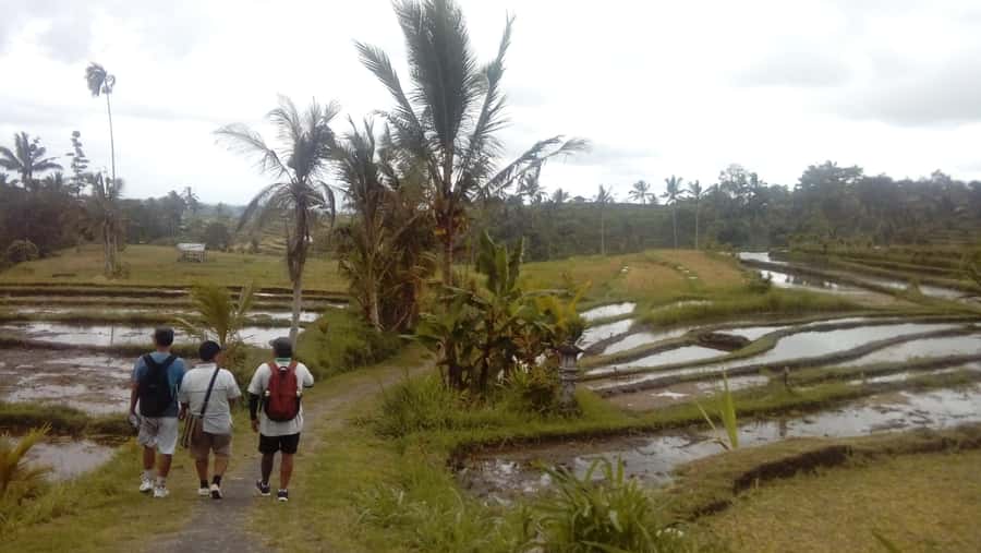 Bali: Jatiluwih Full-Day E-Bike and Trekking Tour - The trek: 2.5 hours through rice terraces, rivers, and off-the-path terrain
