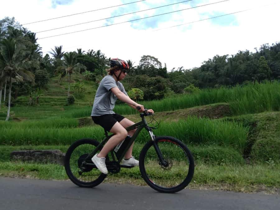 Bali: Jatiluwih Full-Day E-Bike and Trekking Tour - Price and value: is $99 worth it for this mix of riding, trekking, and lunch?