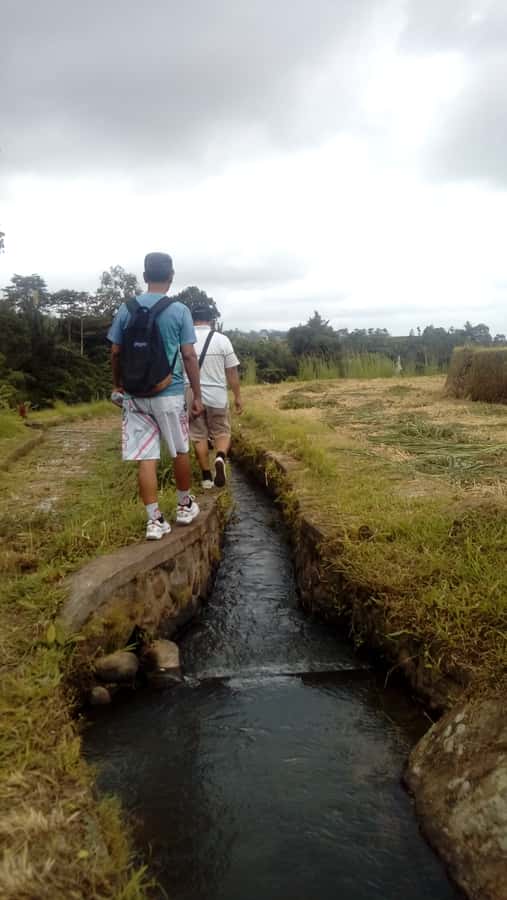 Bali: Jatiluwih Full-Day E-Bike and Trekking Tour - Who should book (and who should skip) this Jatiluwih e-bike trek