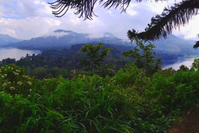 Bali Jungle Trekking and Lake Canoeing Tour - The Trek Toward Buyan Lake: Jungle Paths, Old Trees, and Mountaintop Views
