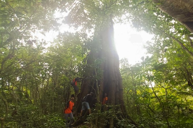 Bali Jungle Trekking and Lake Canoeing Tour - Handara Iconic Gate, Lake Beratan, and Bedugul Market Add-Ons
