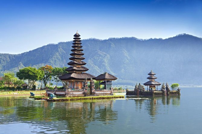 Bali Jungle Trekking in Beautiful Rainforest - Key highlights you’ll care about