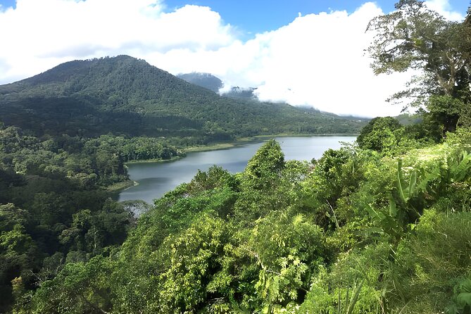 Bali Jungle Trekking in Beautiful Rainforest - Why Tamblingan and Buyan Rainforest Feels Like a Reset