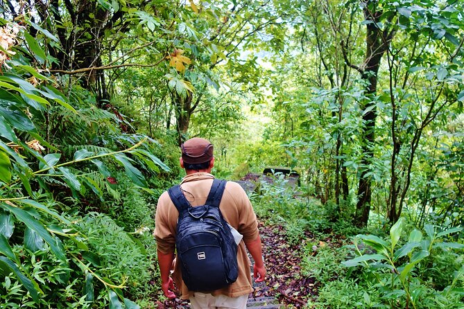 Bali Jungle Trekking in Beautiful Rainforest - Stop 2: Buyan Lake, the Twin Lake Next Door