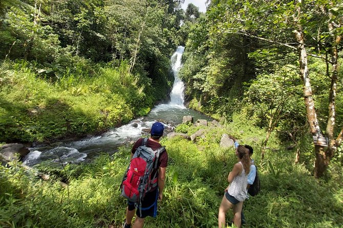 Bali Most Scenic Waterfalls Trekking - Wanagiri Hills: The Setting That Makes This Trek Worth It