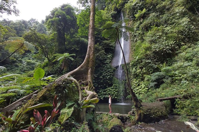 Bali Most Scenic Waterfalls Trekking - Temple and Handara Stops: Classic Sights Before the Hike