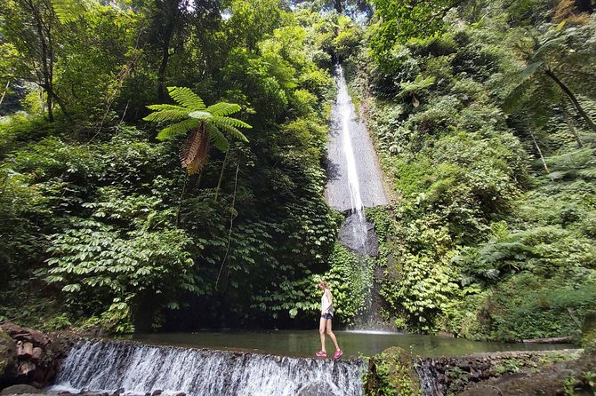 Bali Most Scenic Waterfalls Trekking - The Waterfall Lineup: What Each Stop Feels Like