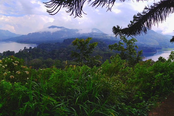 Bali Most Scenic Waterfalls Trekking - Entrance Fees and Optional Costs: Don’t Get Surprised