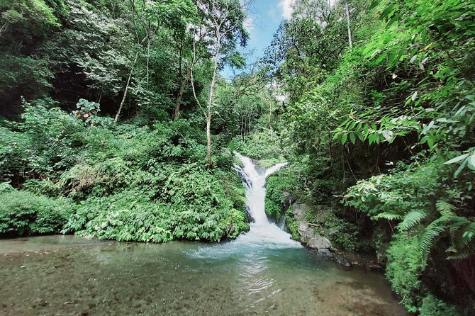 Bali Most Scenic Waterfalls Trekking - Pickup, Pacing, and What a Private Tour Changes