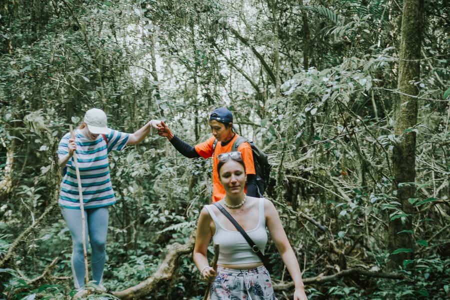 Bali: Munduk Waterfalls Trek, Twin Lakes and Temple Tour - Key highlights you’ll care about