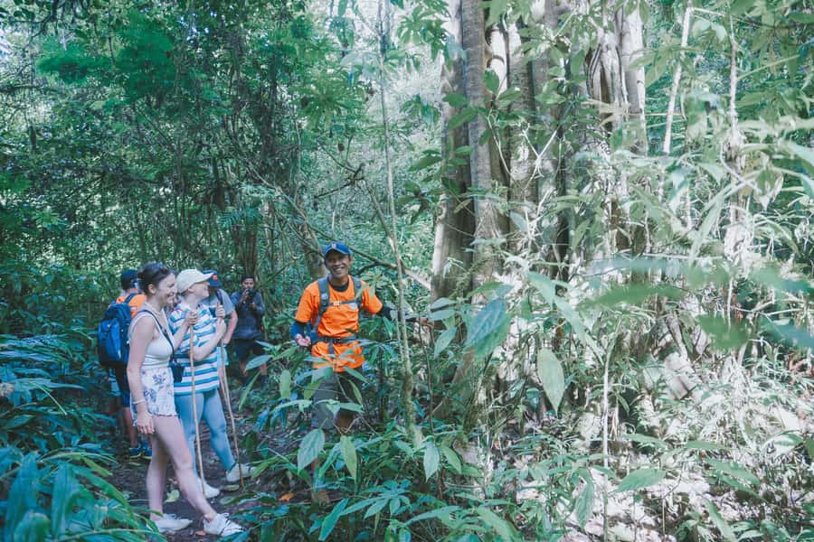 Bali: Munduk Waterfalls Trek, Twin Lakes and Temple Tour - Base camp reset: tea, cake, and route talk