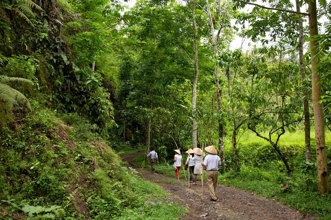 Bali Pure trek with spiritual journey, purification ceremony, local priest -Ubud - Key points at a glance