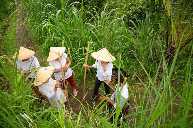 Bali Pure trek with spiritual journey, purification ceremony, local priest -Ubud - Bali Pure Trek in Ubud: What This Spiritual Day Actually Includes