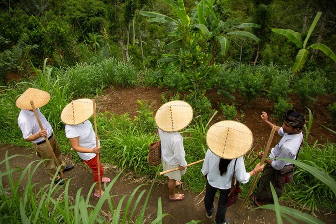 Bali Pure trek with spiritual journey, purification ceremony, local priest -Ubud - Stop 3: Tampaksiring Local Priest/Healer Visit and Village Lunch Time
