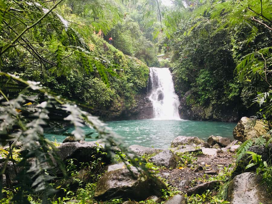 Bali: Sambangan Waterfalls Trekking, Sliding, & Jumping Trip - Food stops at base camp: simple, but it saves you energy
