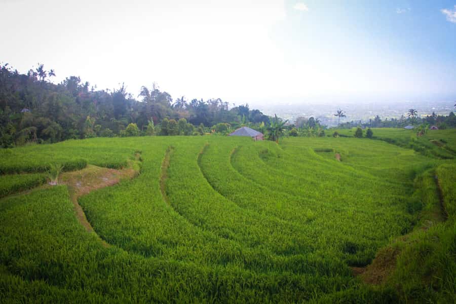 Bali: Sambangan Waterfalls Trekking, Sliding, & Jumping Trip - Sambangan starts like a real village day, not a drive-by