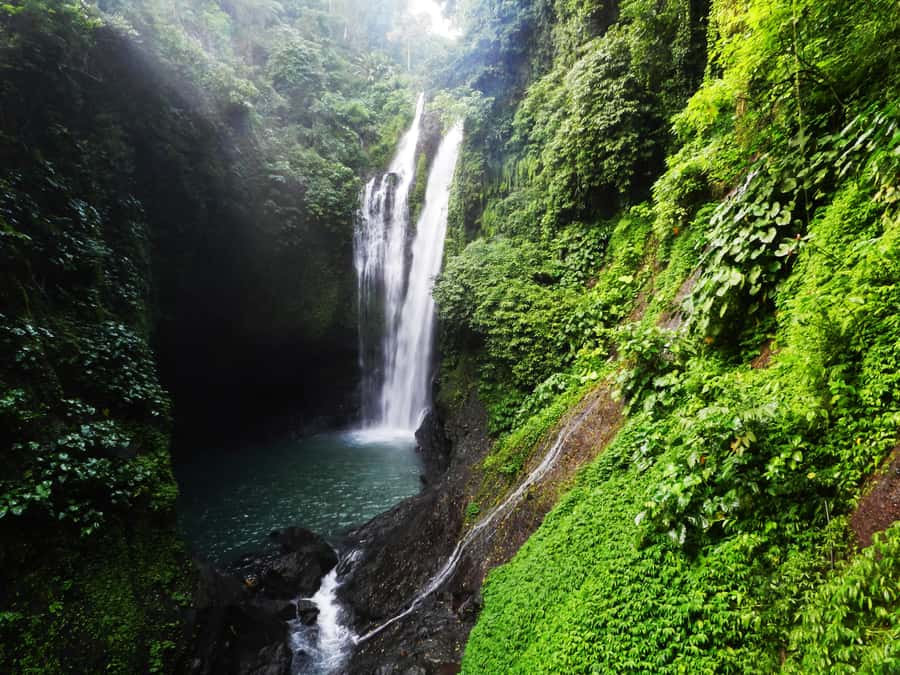 Bali: Sambangan Waterfalls Trekking, Sliding, & Jumping Trip - The local tasting stop: cocoa, young coconut, and a Balinese instrument