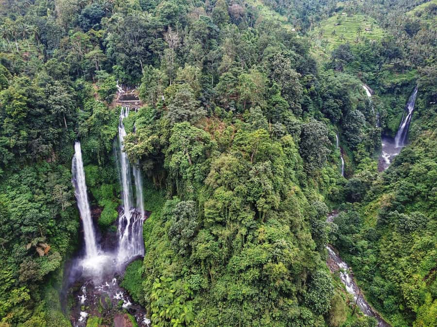 Bali: Sekumpul and Banyumala Waterfall Guided Trek - Getting Started: Pickup Options and Transfer Time