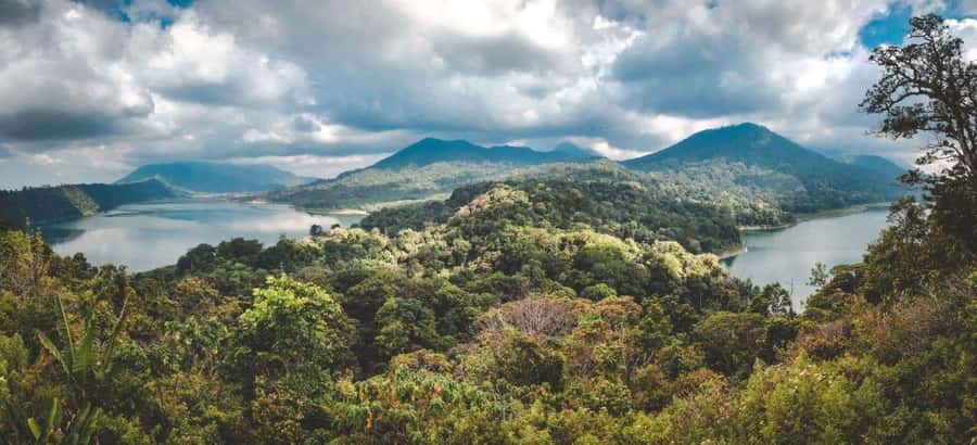 Bali: Sekumpul and Banyumala Waterfall Guided Trek - Why the Guide Matters Here (Meet Ardy)