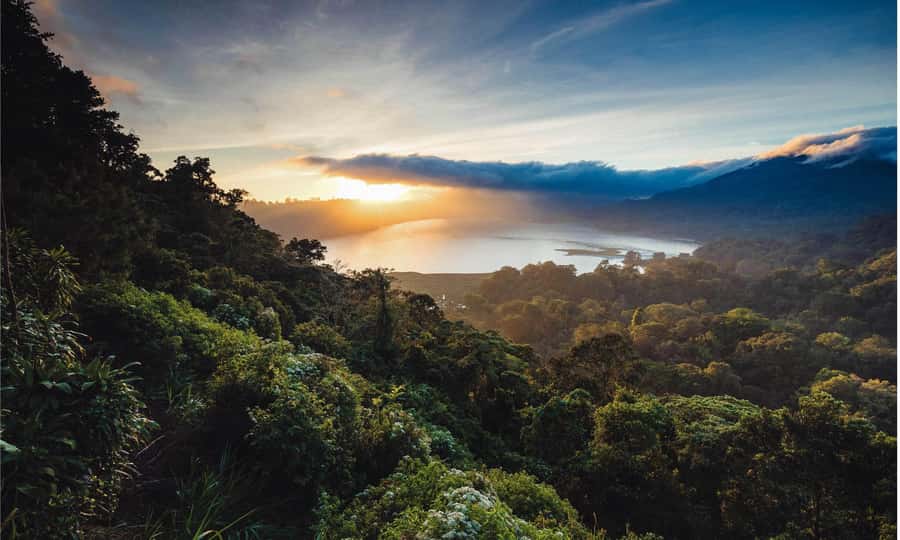 Bali: Twin Lakes, Handara Gates, and Forest Trekking Tour - The Twin Lakes trek: walking through protected Balinese forest to Lake Buyan and Lake Tamblingan