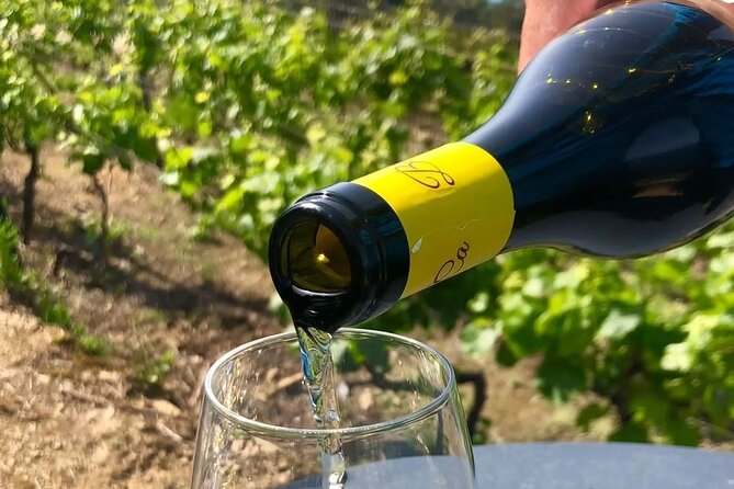 BarCa Winery Cinqueterre Trekking & Wine Tasting & Pesto Class - Volastra Views and the Vineyard Setting You’ll Remember