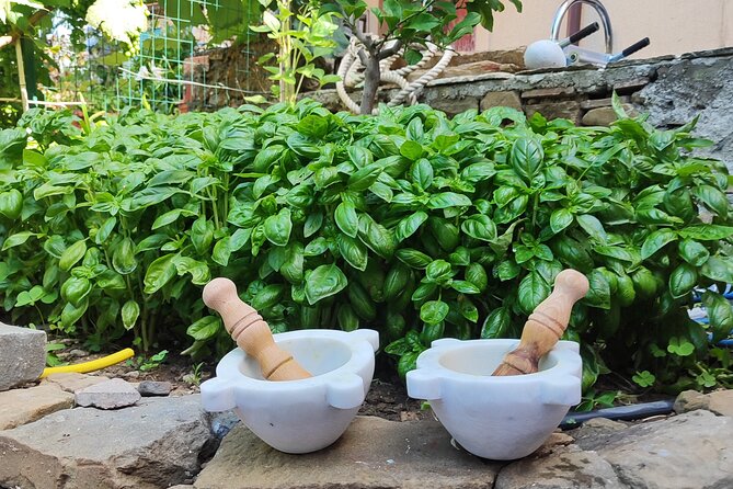 BarCa Winery Cinqueterre Trekking & Wine Tasting & Pesto Class - Hosts Andrea and Lorenzo: Why the Conversation Feels Real