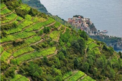 BarCa Winery Cinqueterre Trekking & Wine Tasting & Pesto Class - Getting There: Meeting Point, Timing, and How the 1.5 Hours Moves
