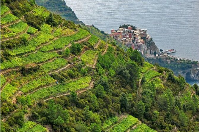 BarCa Winery Cinqueterre Trekking & Wine Tasting & Pesto Class - Getting There: Meeting Point, Timing, and How the 1.5 Hours Moves