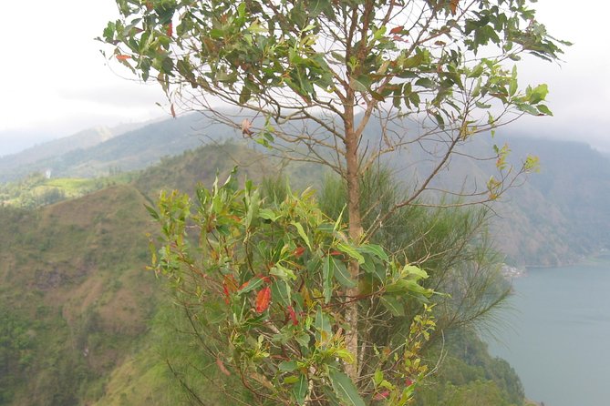 Batur Caldera Sunrise Trekking - Price and Logistics: What $120 Really Buys You
