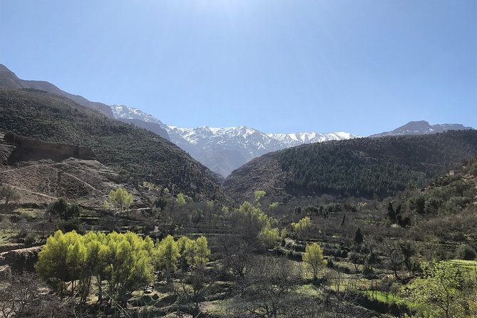 Berber villages trek Day trip - Plateau du Kik: cereal fields, village crossings, and big Atlas views