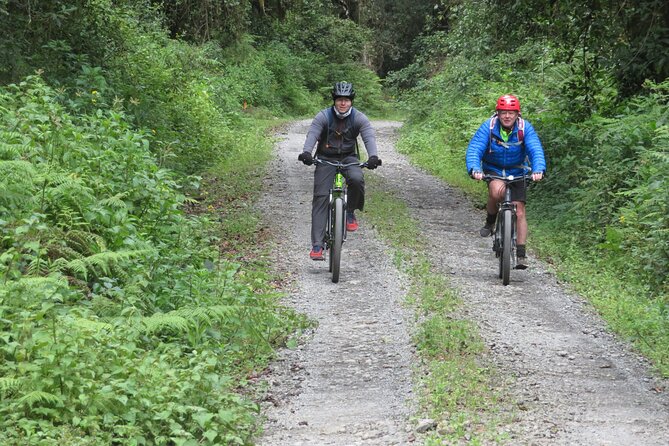 Best 5 Days Kilimanjaro Bike Trek Tour via Marangu Kilema Route - Price and value: what $3,292 buys you here