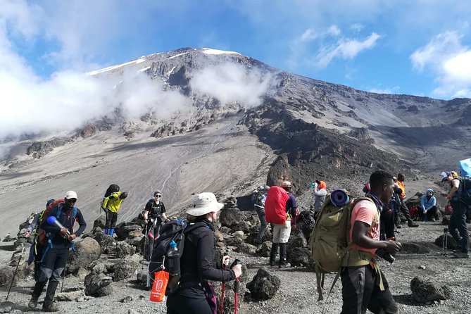 Best Kilimanjaro Adventure 7 days Machame route Trekking - Day 1: Machame Gate and a Rainforest Start That Sets the Tone