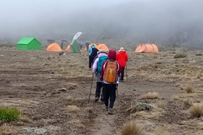 Best Kilimanjaro Adventure 7 days Machame route Trekking - Day 2: Shira Camp Day and the Rocky Ridge Work