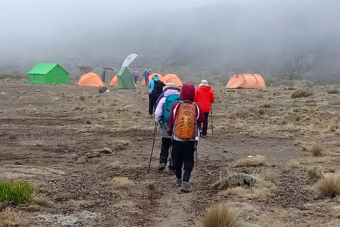 Best Kilimanjaro Adventure 7 days Machame route Trekking - Day 2: Shira Camp Day and the Rocky Ridge Work