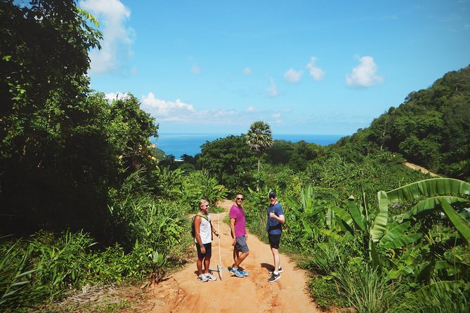 Big Buddha Jungle Trekking and Temple tour with Lunch - The Trek Up: Steep Jungle Path, Rest Breaks, and View Rewards