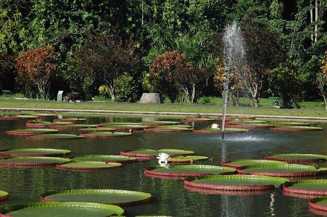 Bogor Botanical Garden & Rainforest Trekking to Hidden Waterfall - A Jakarta Escape That Feels Like Real Java