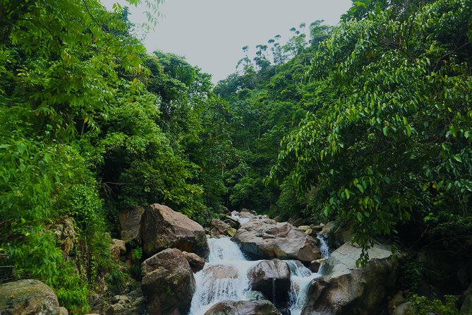 Bogor Botanical Garden & Rainforest Trekking to Hidden Waterfall - Rainforest Trekking in Gede Pangrango National Park: Good Exercise, Real Footing